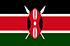 Panel online a mobil v Keni