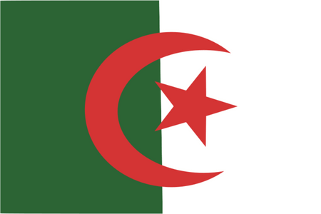 Online výzkumný panel v Alžírsku