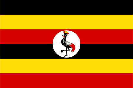 Online a mobilní panel v Ugandě