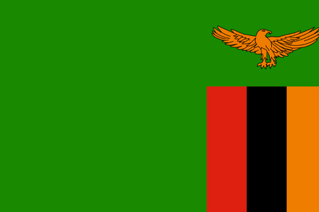 Online výzkumný panel v Zambii