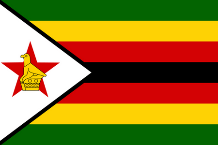 Panel pro průzkum trhu online v Zimbabwe