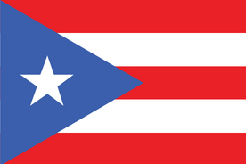 Online panel v Portoriku