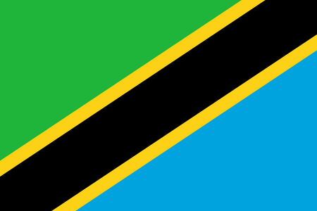 Panel pro průzkum trhu v Tanzanii