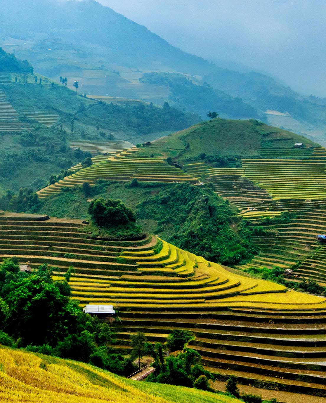 Vietnam okamžitě 