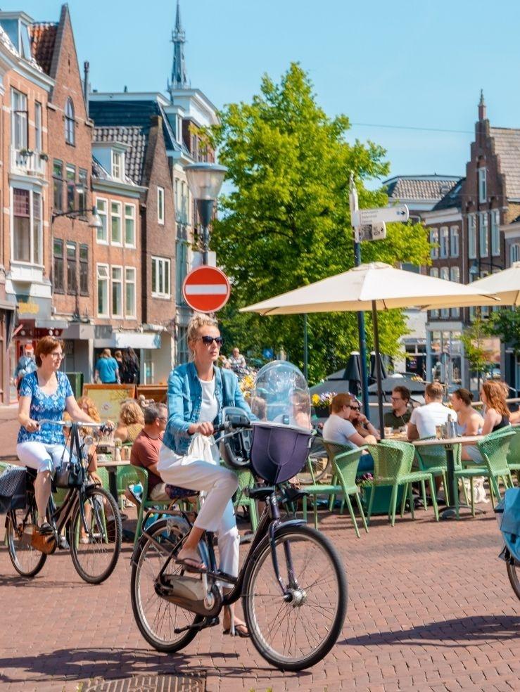 Průzkum trhu v Nizozemsku
