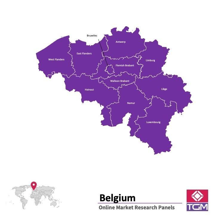 Online panel v Belgii | Průzkum trhu v Belgii