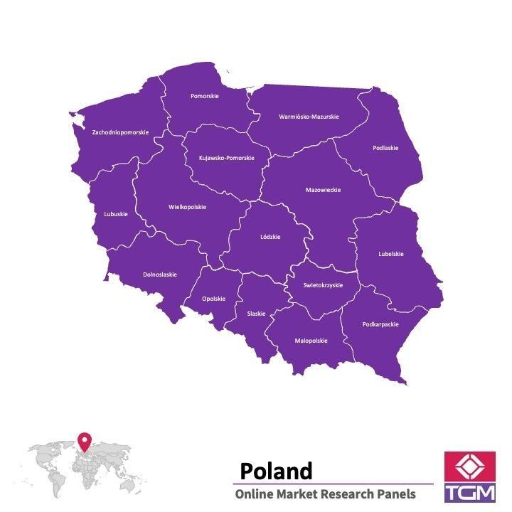 Online panel v Polsku | Průzkum trhu v Polsku