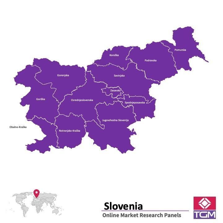 Online panel ve Slovinsku | Průzkum trhu ve Slovinsku