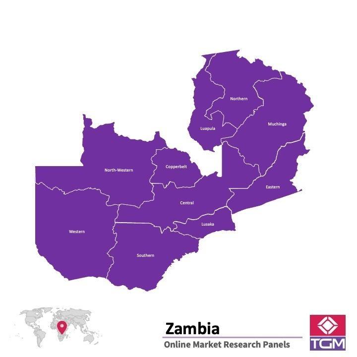 Online panel v Zambii | Průzkum trhu v Zambii