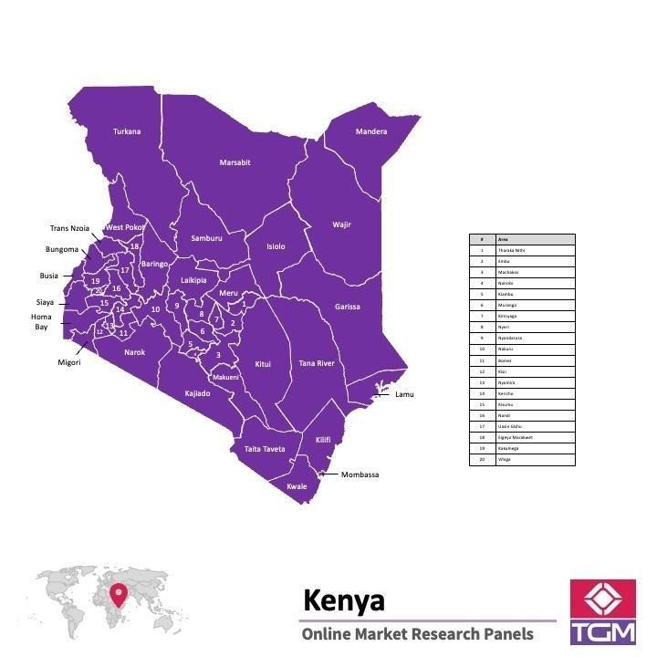 Online panel v Keni |  Průzkum trhu v Keni