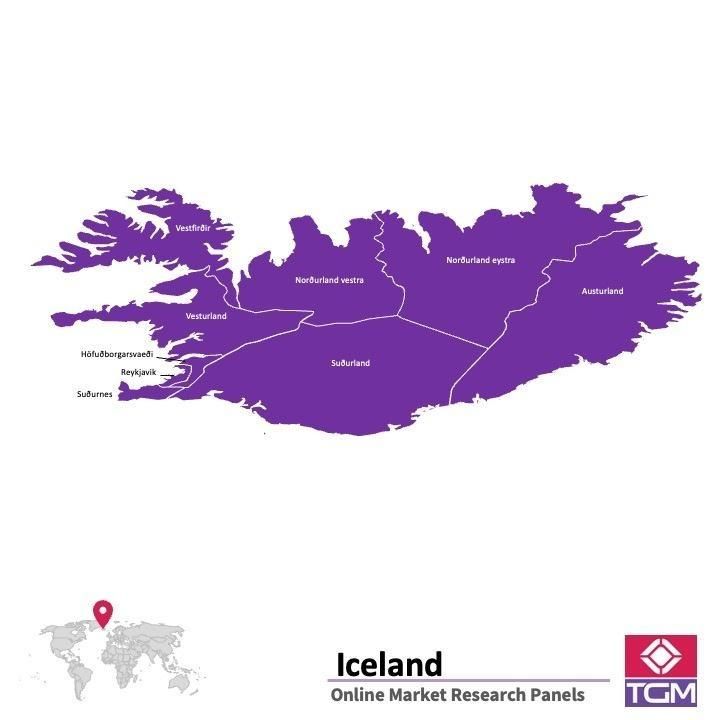 Online panel na Islandu |  Průzkum trhu na Islandu