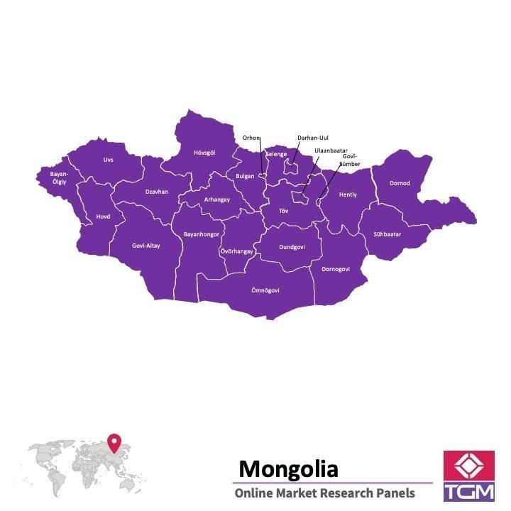 Online panel v Mongolsku |  Průzkum trhu v Mongolsku