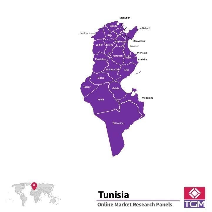 Online panel v Tunisku |  Průzkum trhu v Tunisku