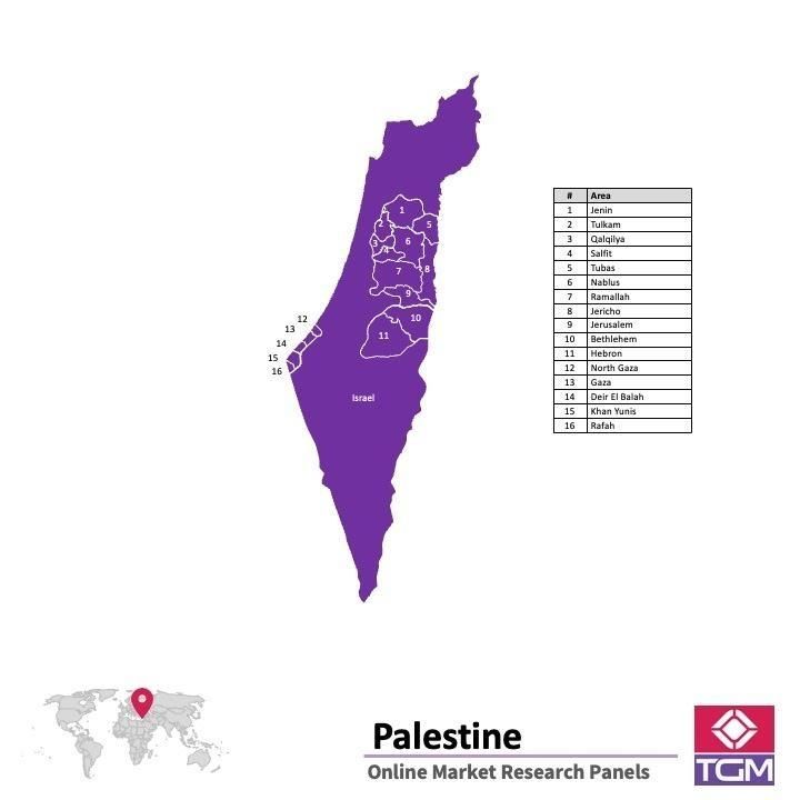 Online panel v Palestině |  Průzkum trhu v Palestině