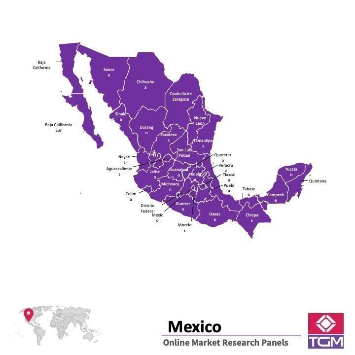 Online panel v Mexiku |  Průzkum trhu v Mexiku