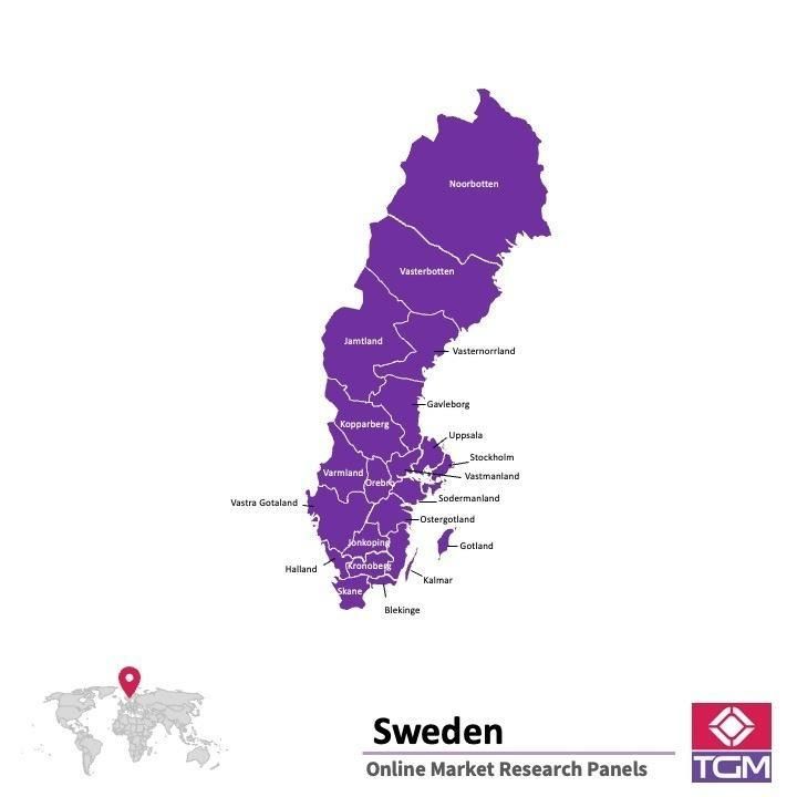 Online panel ve Švédsku |  Průzkum trhu ve Švédsku