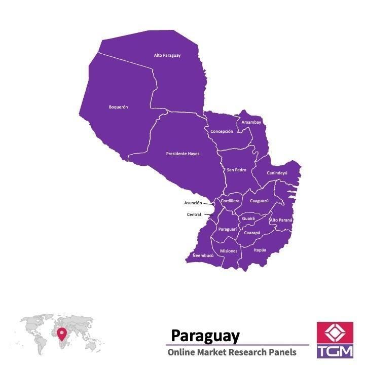 Online panel v Paraguayi |  Průzkum trhu v Paraguayi