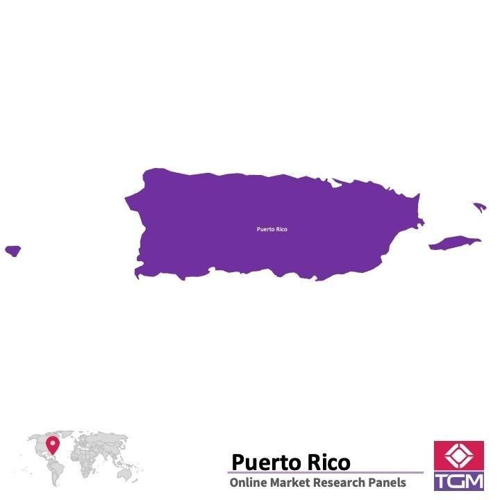 Online panel v Portoriku |  Průzkum trhu v Portoriku