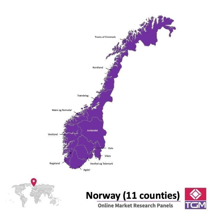 Online panel v Norsku |  Průzkum trhu v Norsku
