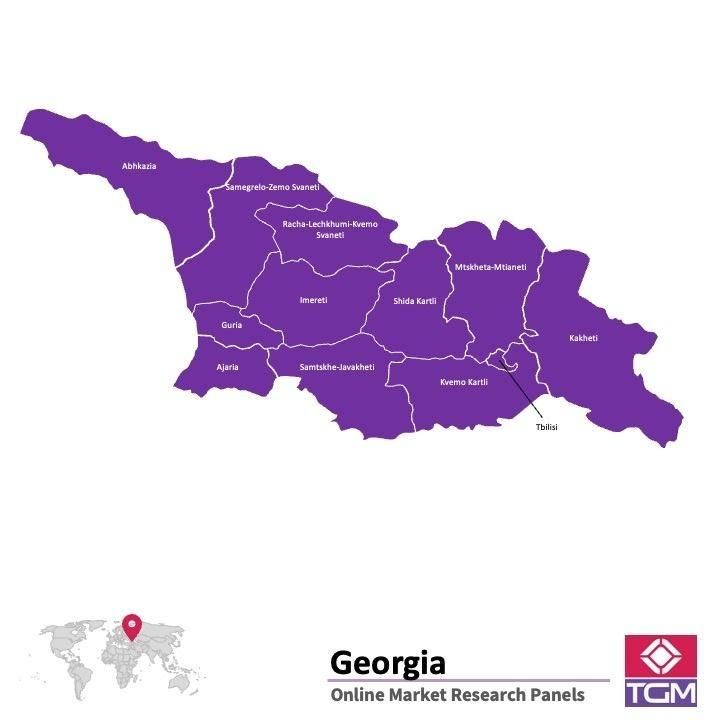 Online panel v Gruzii |  Průzkum trhu v Gruzii