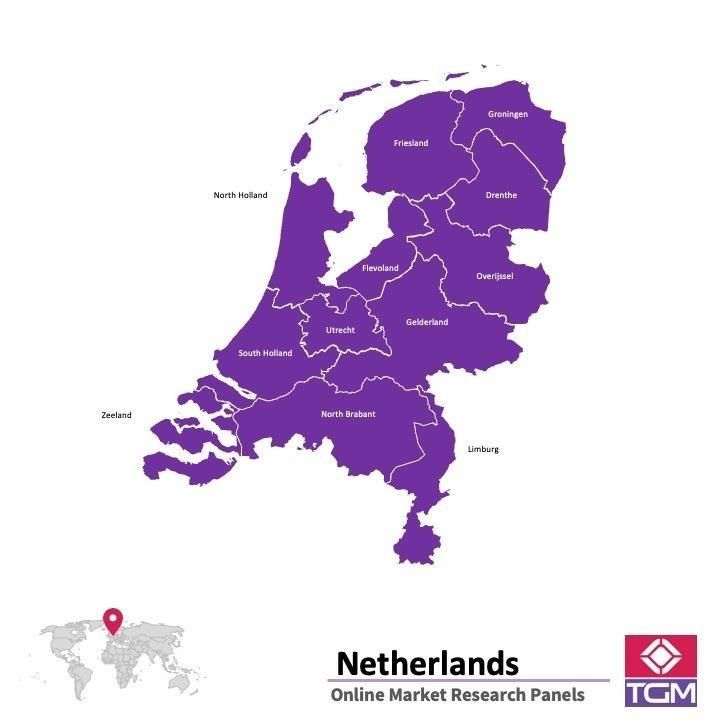 Online panel v Nizozemsku |  Průzkum trhu v Nizozemsku