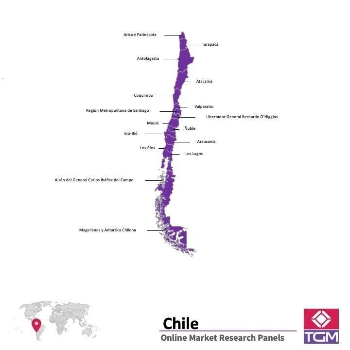 Online panel v Chile |  Průzkum trhu v Chile