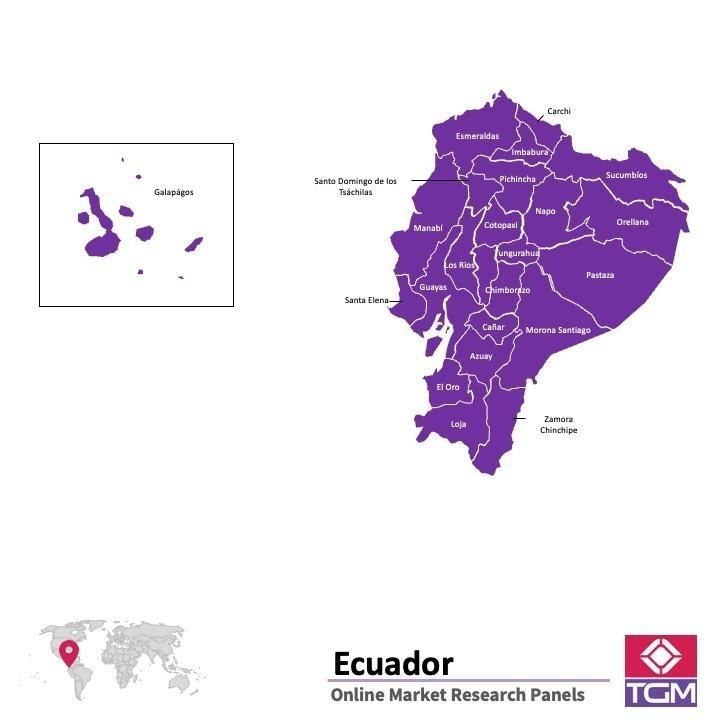 Online panel v Ekvádoru |  Průzkum trhu v Ekvádoru