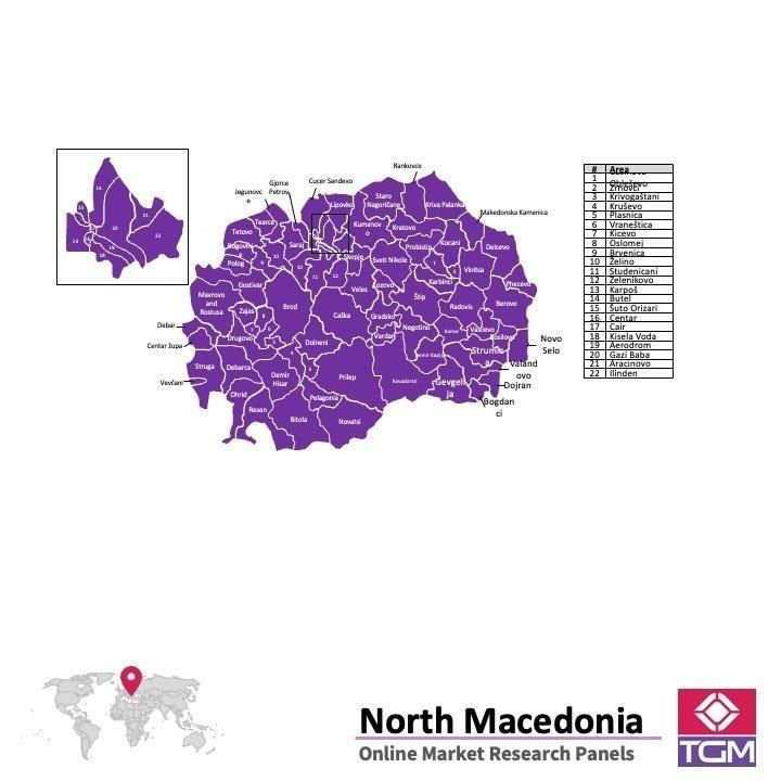 Online panel v Severní Makedonii |  Průzkum trhu v Severní Makedonii