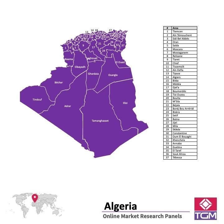 Online panel v Alžírsku |  Průzkum trhu v Alžírsku