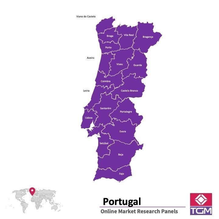 Online panel v Portugalsku |  Průzkum trhu v Portugalsku