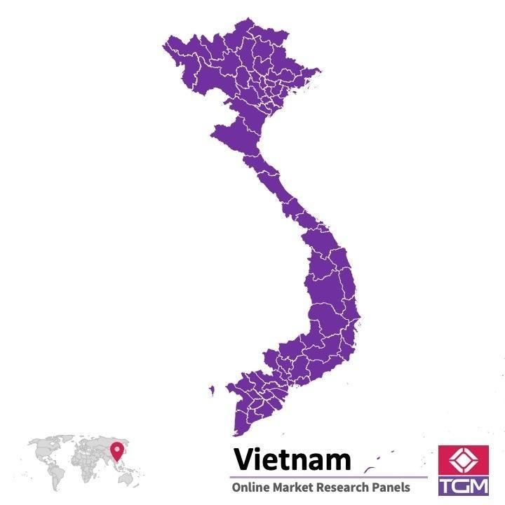 Online panel ve Vietnamu |  Průzkum trhu ve Vietnamu