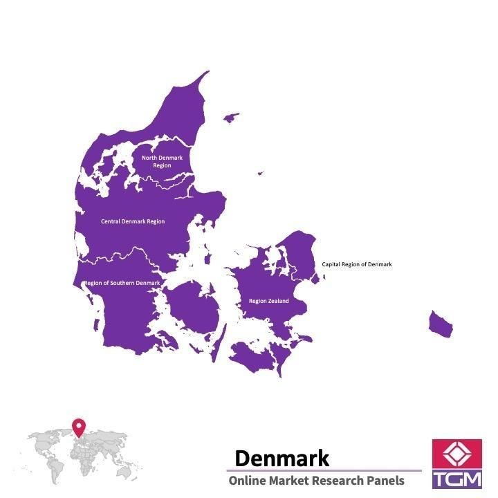 Online panel v Dánsku |  Průzkum trhu v Dánsku