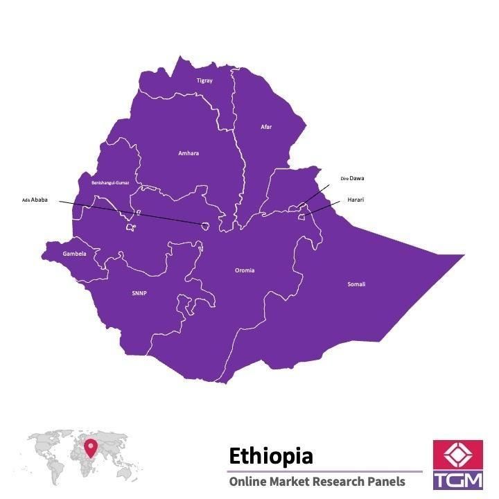 Online panel v Etiopii |  Průzkum trhu v Etiopii