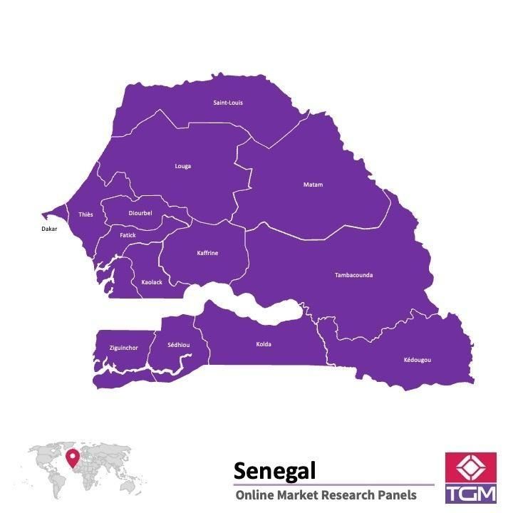 Online panel v Senegalu |  Průzkum trhu v Senegalu