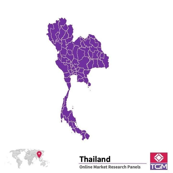 Online panel v Thajsku |  Průzkum trhu v Thajsku