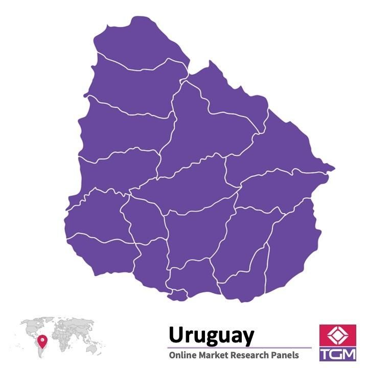 Online panel v Uruguayi |  Průzkum trhu v Uruguayi
