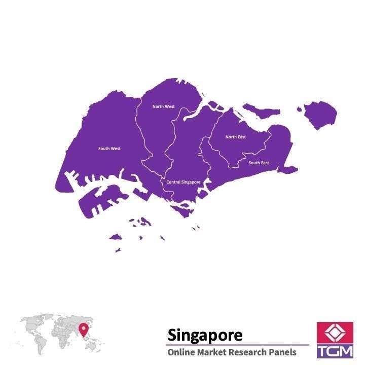 Online panel v Singapuru |  Průzkum trhu v Singapuru