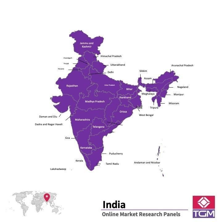 Online panel v Indii |  Průzkum trhu v Indii