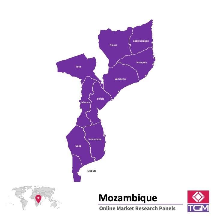Online panel v Mosambiku |  Průzkum trhu v Mosambiku