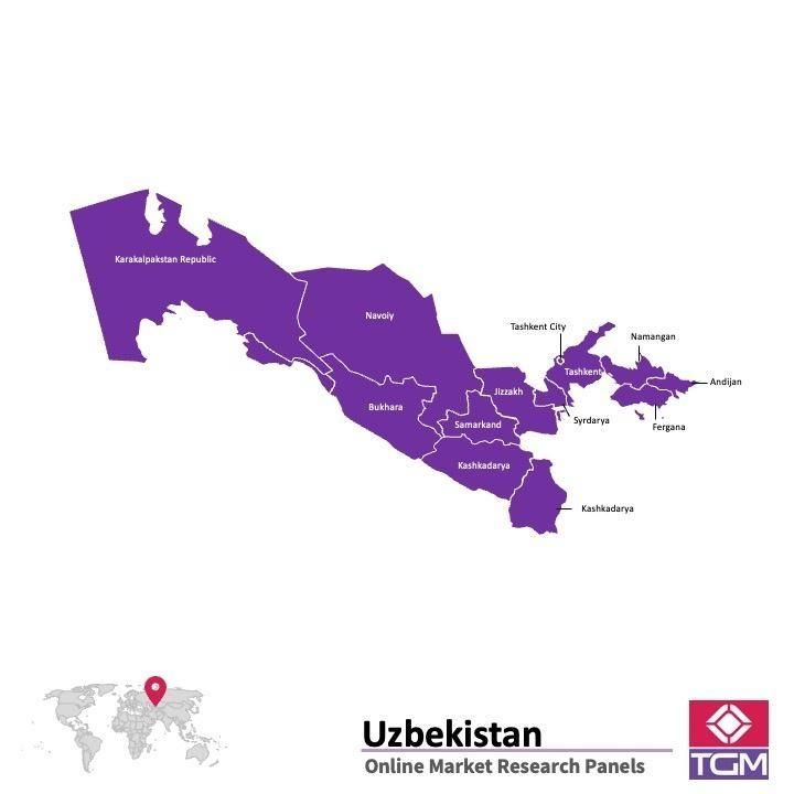 Online panel v Uzbekistánu |  Průzkum trhu v Uzbekistánu