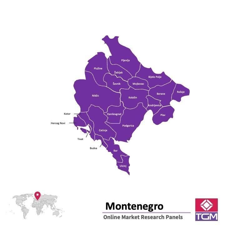 Online panel v Černé Hoře |  Průzkum trhu v Černé Hoře