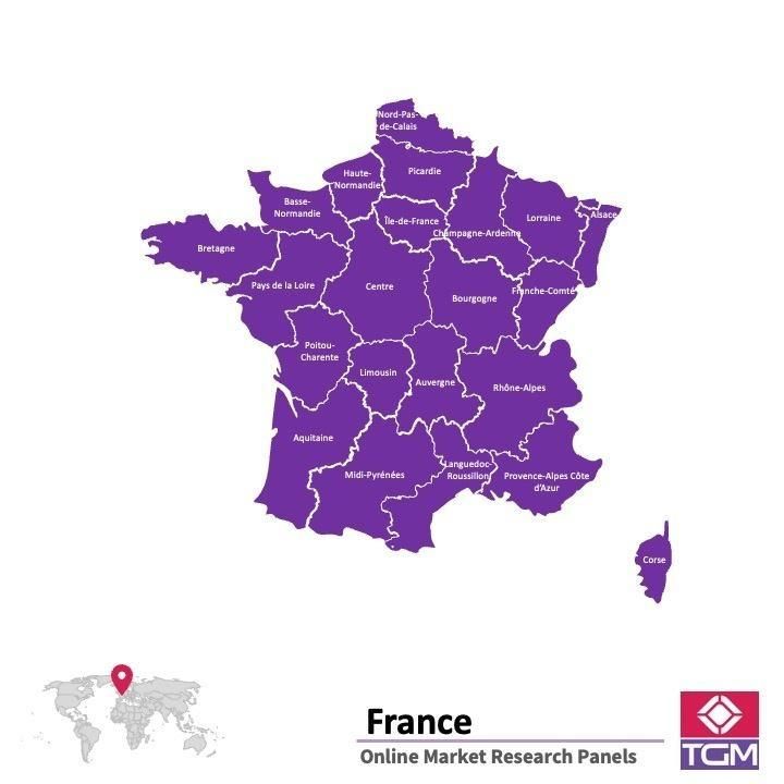 Online panel ve Francii |  Průzkum trhu ve Francii