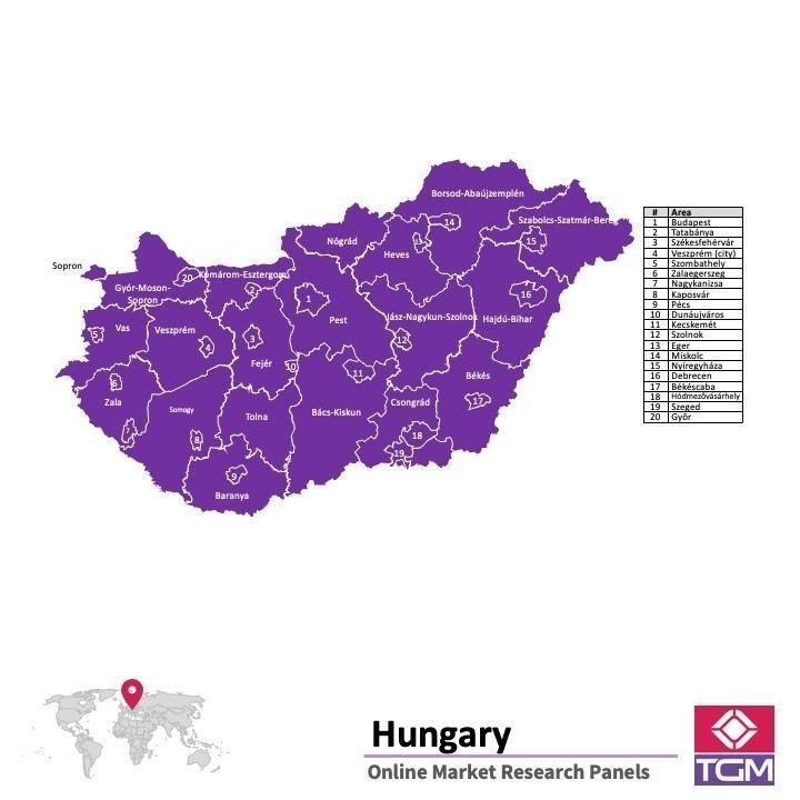 Online panel v Maďarsku |  Průzkum trhu v Maďarsku