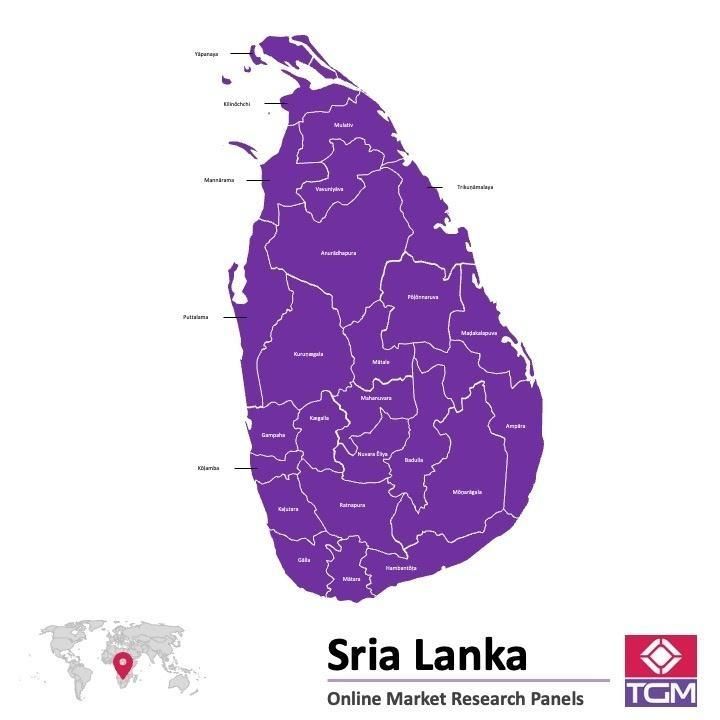 Online panel na Srí Lance |  Průzkum trhu na Srí Lance