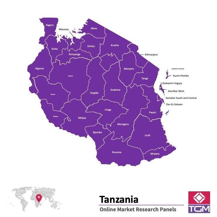 Online panel v Tanzanii |  Průzkum trhu v Tanzanii