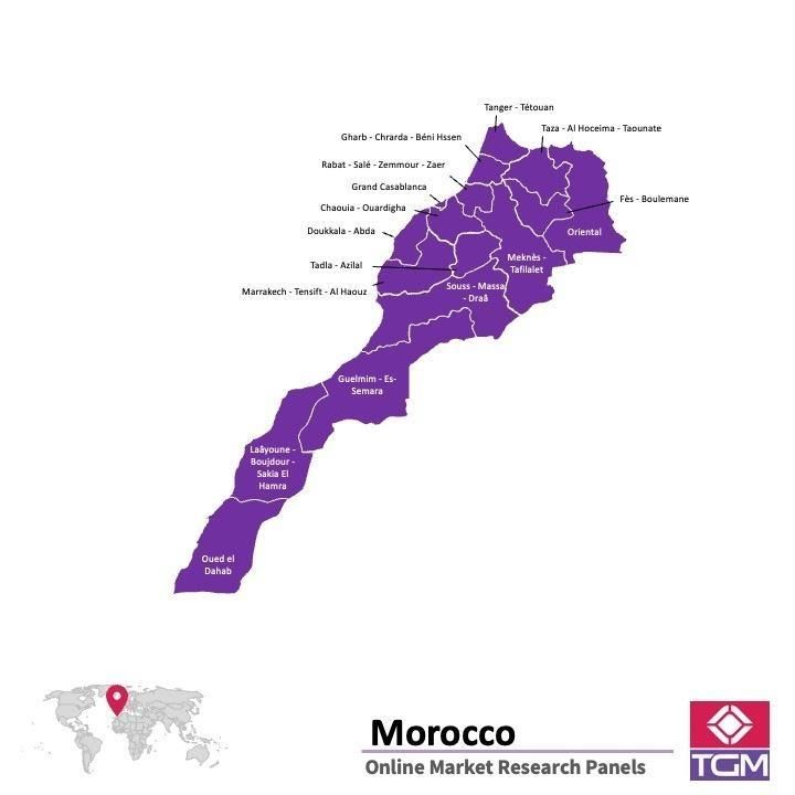 Online panel v Maroku |  Průzkum trhu v Maroku