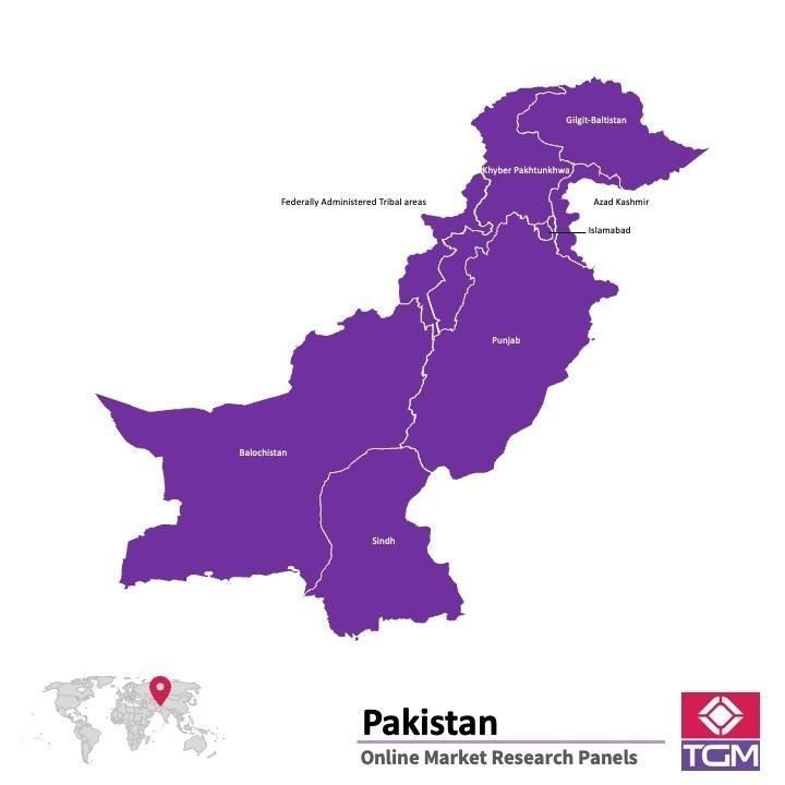 Online panel v Pákistánu |  Průzkum trhu v Pákistánu