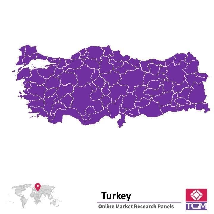 Online panel v Turecku |  Průzkum trhu v Turecku