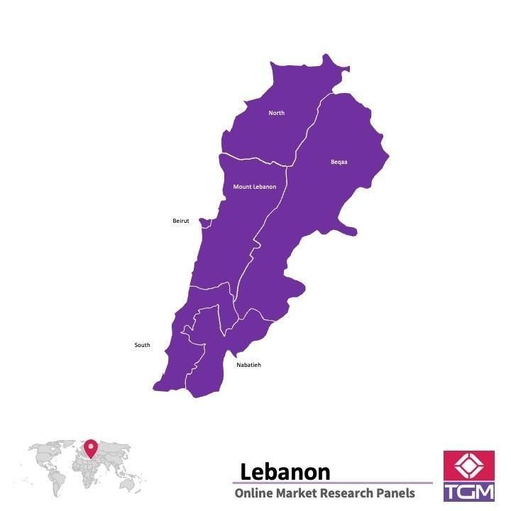 Online panel v Libanonu |  Průzkum trhu v Libanonu