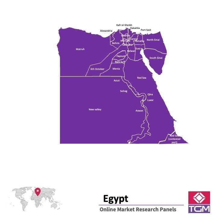 Online panel v Egyptě |  Průzkum trhu v Egyptě